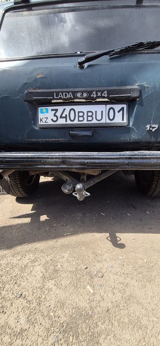 Продам дивного коня, нива