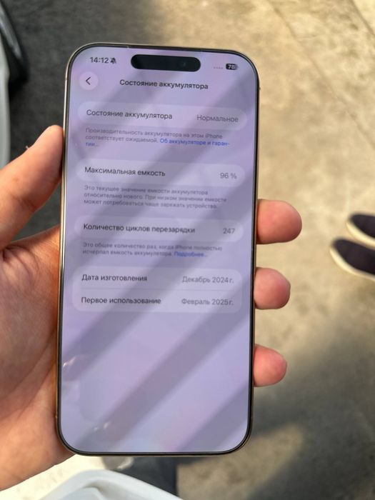 iphone 16 pro max 256 gb