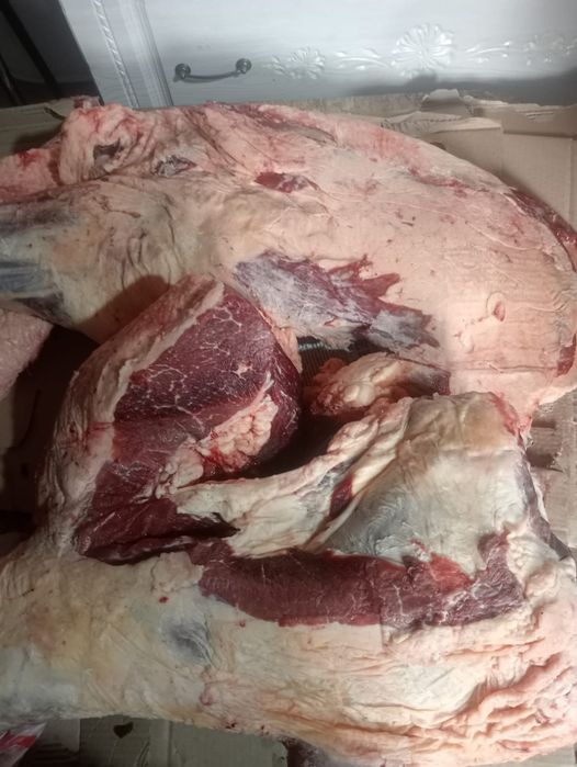 Продам говядину по частям