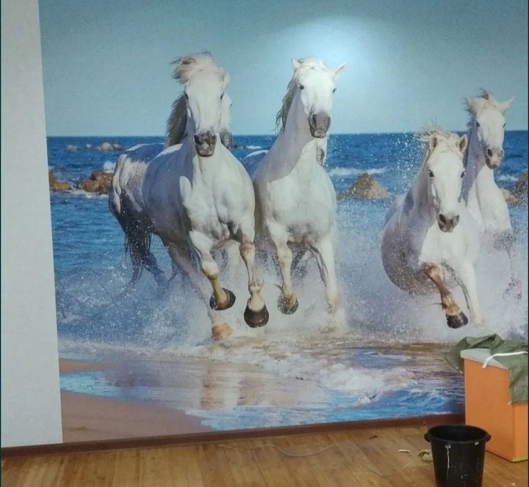 Обой,Галтели,Линолеум,плинтус.