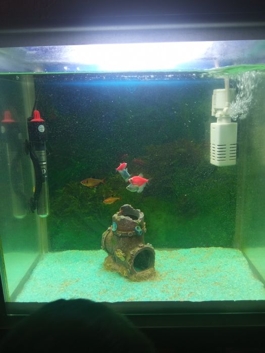 Продам аквариум на 40 л