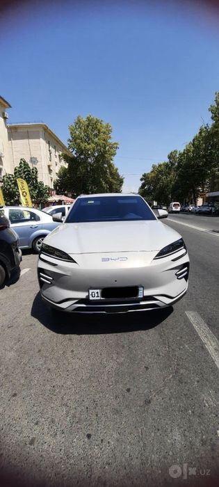 Byd chempion 520