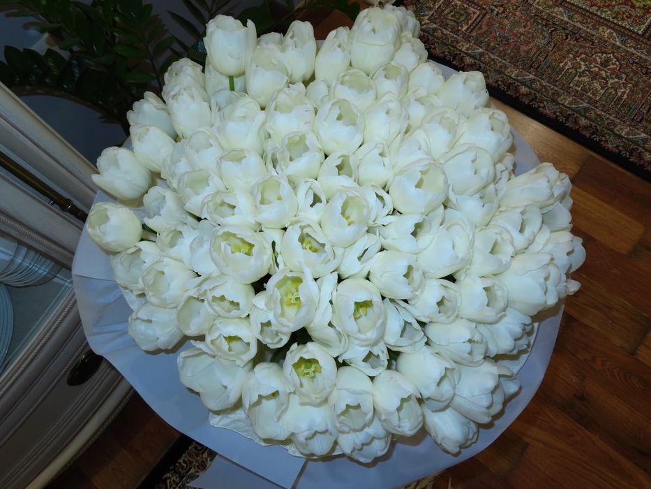 Тюльпаны Алматы