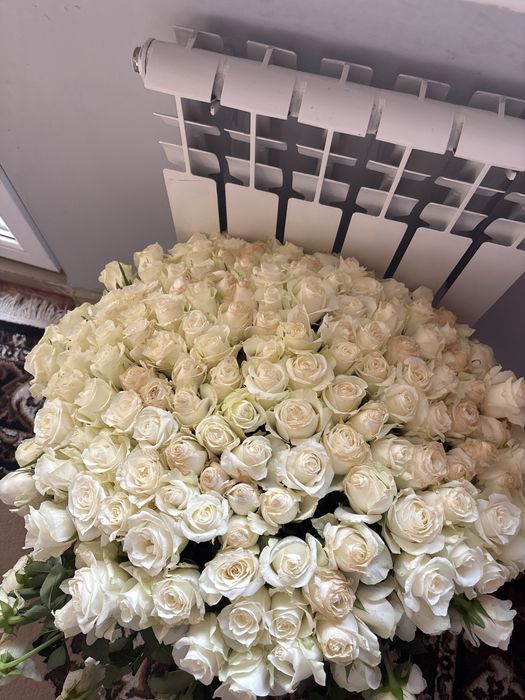 Цветы,белые роза
