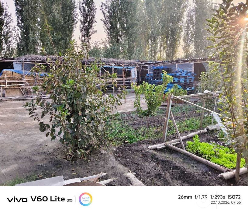 Xovli sotiladi, Tulash maxallasi, Qo'qon