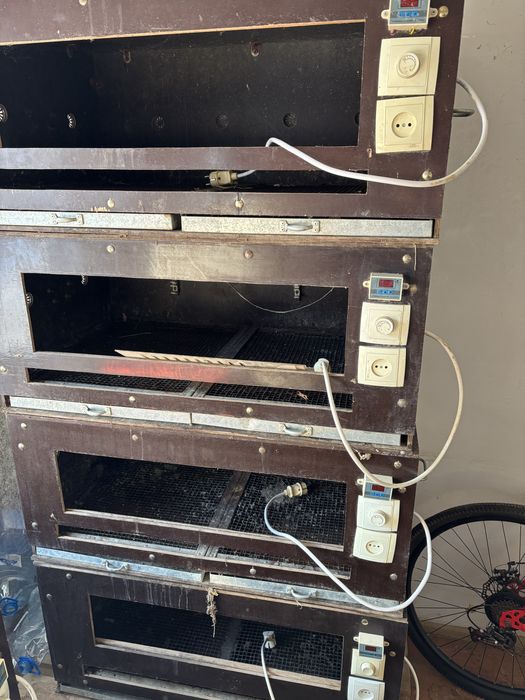 брудер для куриц