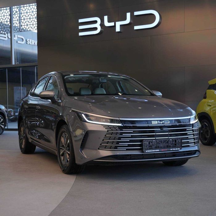 BYD Chazor 55 km Active
