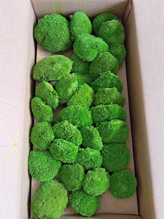 !Промоционални цени Скандинавски мъх и топчест мъх