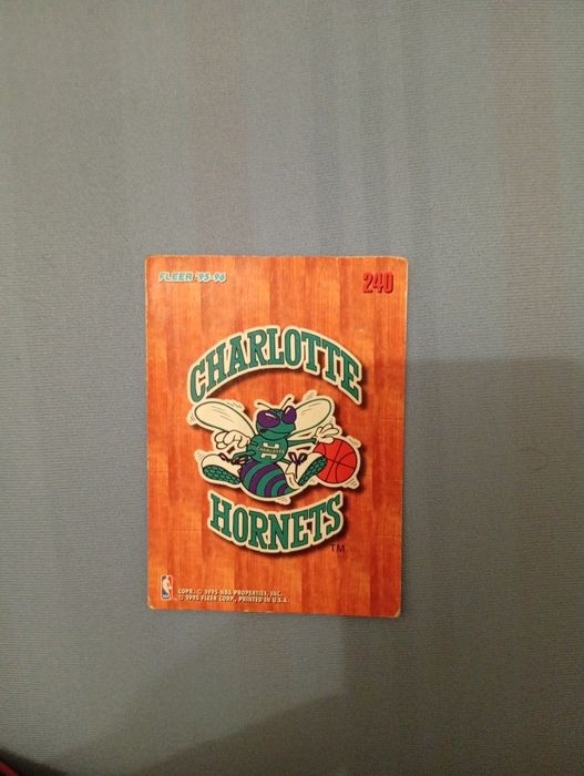 Шарлът Хорнетс Шарлът Хорнетс