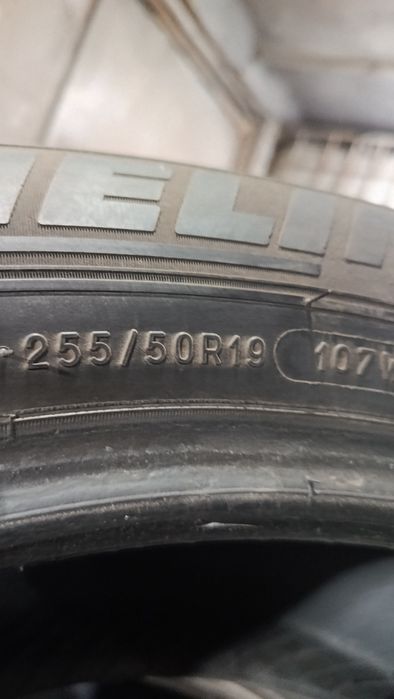 Мишлен 255/50/19 летние