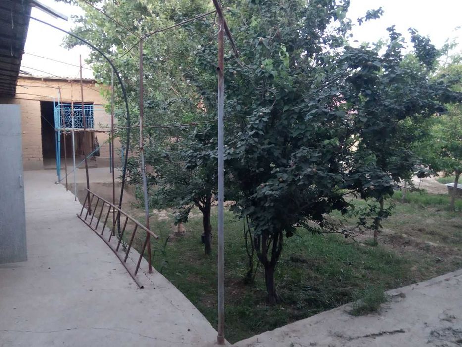 Xovli sotiladi xolati yaxshi