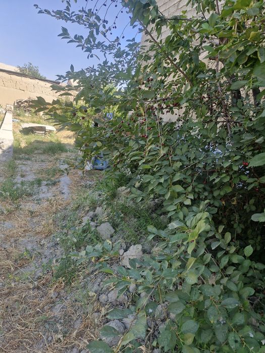 Yer uchastkasi sotiladi