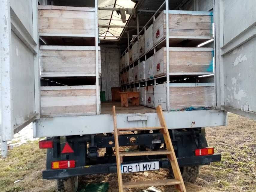 Pavilion apicol ,ITP valabil