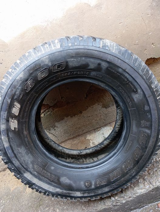 Продается боланый