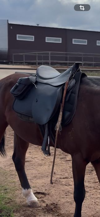 Ертокым Россия (офицерское седло)