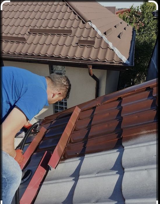 Vopsit  acoperișuri reparati