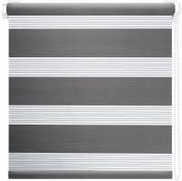 Жалюзи день ночь