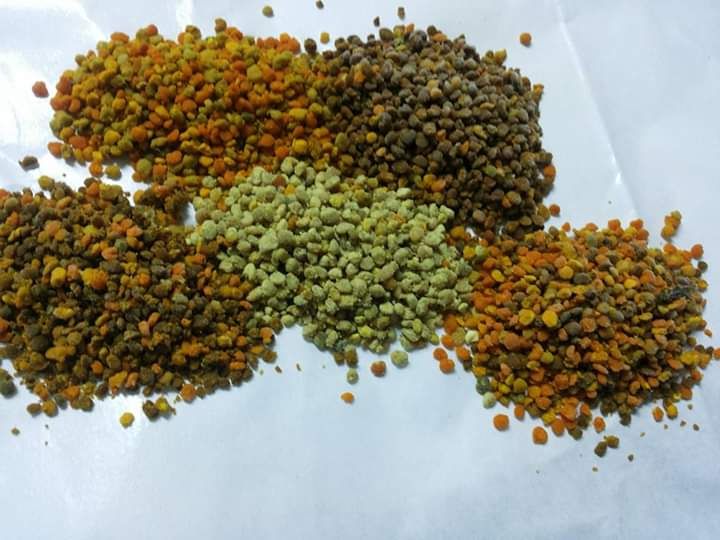 Miere , apilarnil , polen crud  , propolis