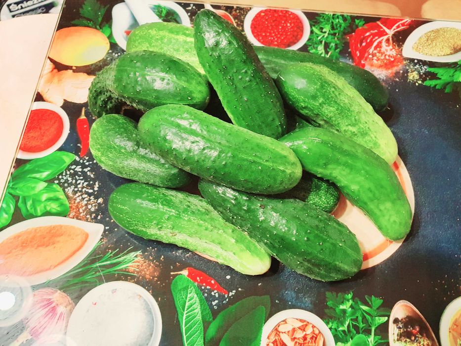 Продам дачные огурцы