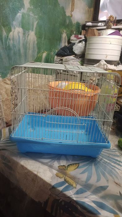 Клетки для грызунов