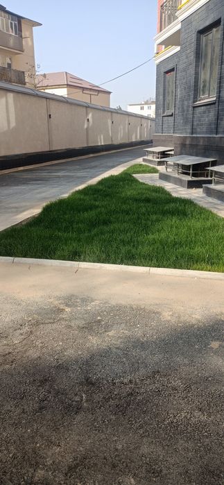 Газзон экиш парааришлаш хизмати.