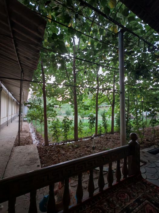 Yangi 16 yilli 12 sotix 6 xona