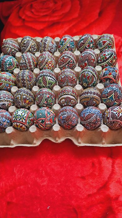 Oua incondeiate de gâscă