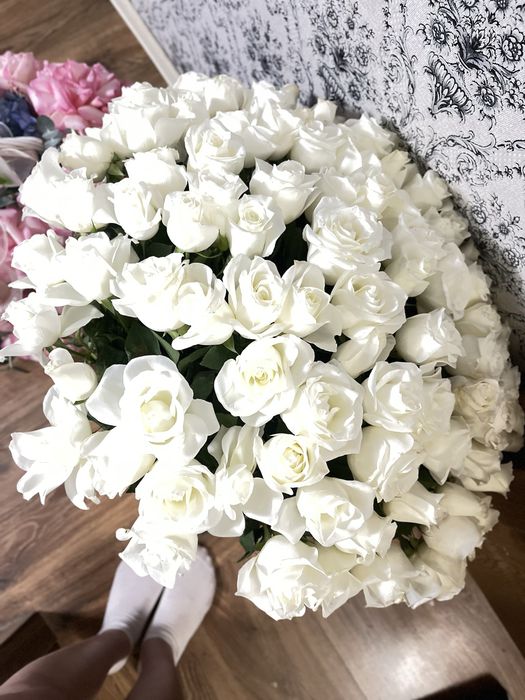 Жана келген свежиии