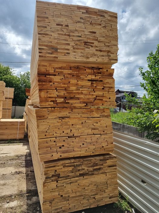 Scandura dimensionata