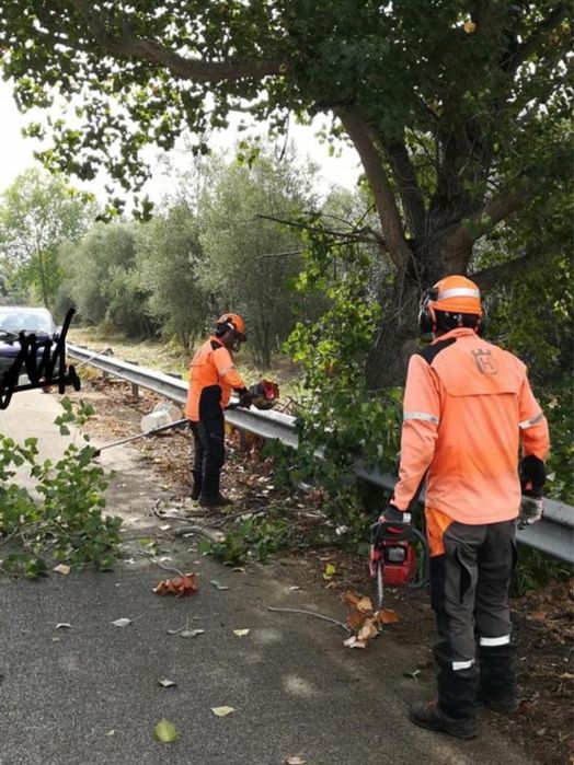 Ai un teren neingrijit? Îl transformam rapid