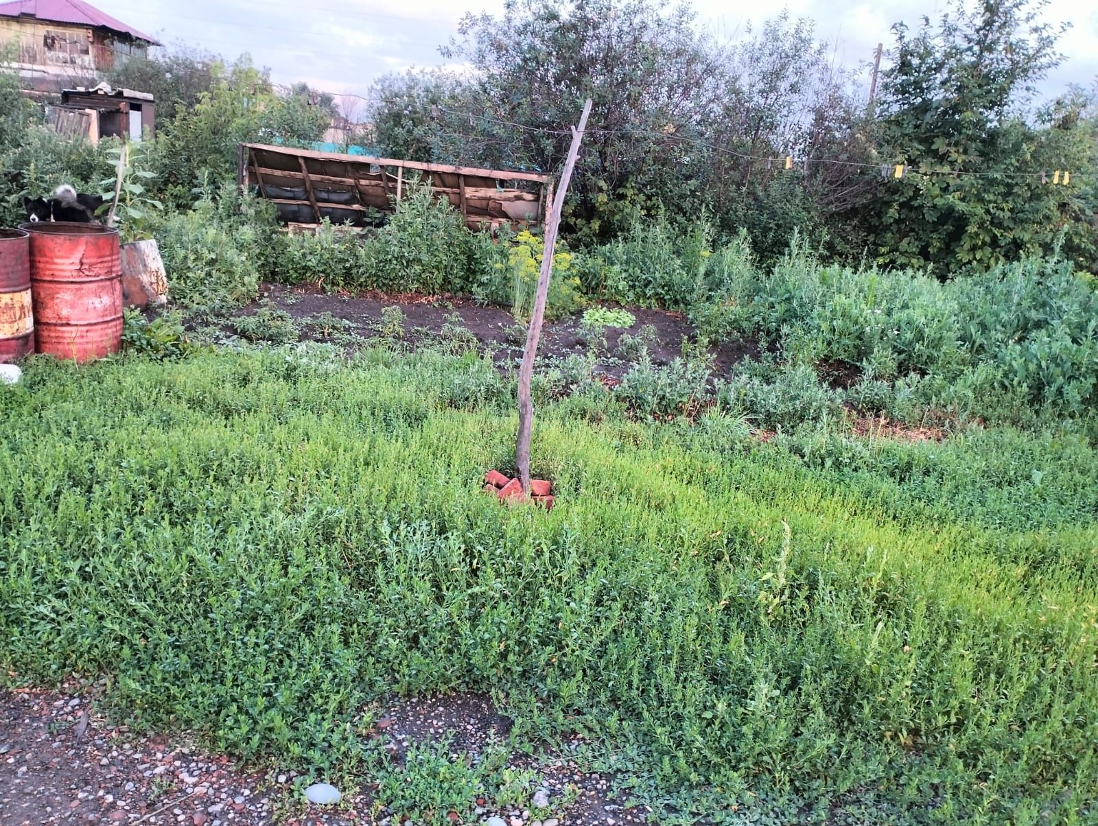Продам дачу зимние вариант: 3 700 000 тг. - Продажа домов Усть ...