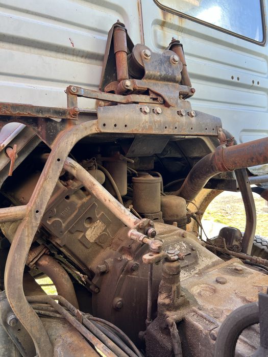 Raba basculanta Roman