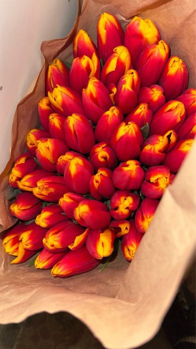 Тюльпаны по 750 тг доставка имеется
