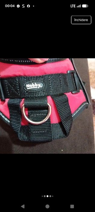 Ham pt căței Nobby