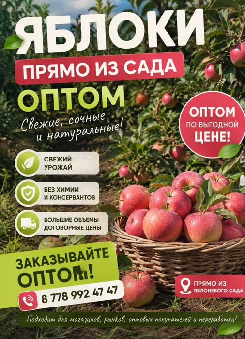 Яблоко оптом Алма