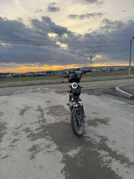 Электро скутерды