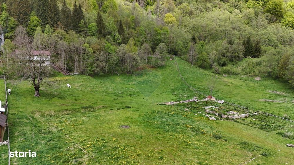 Intravilan | 10.000 mp| Sătic-Rucăr | Acces facil | Potențial excelent