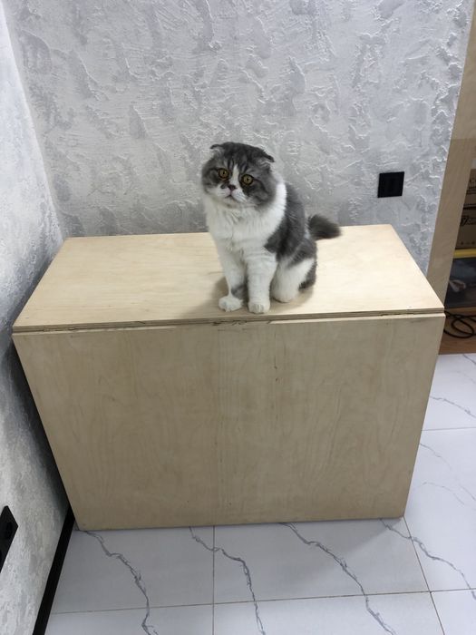 РАСКЛАДНОЙ стол трансформер !