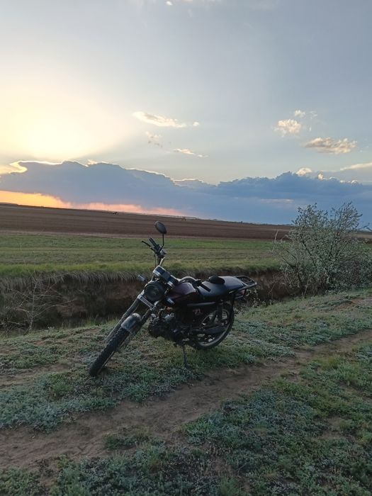 Продам альфу самурай