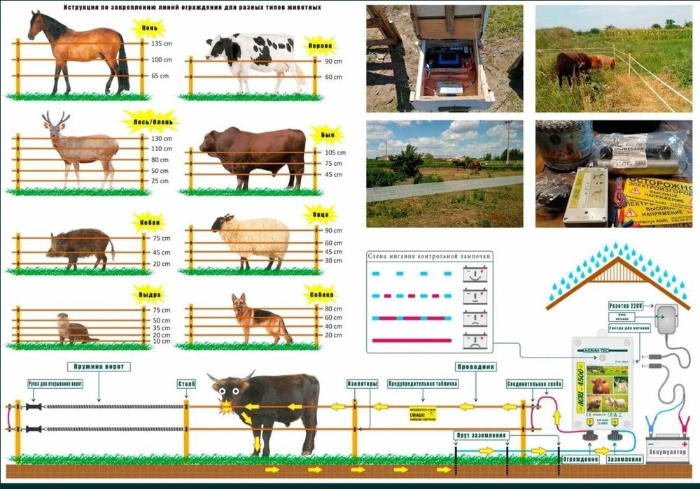 Электро пастух..