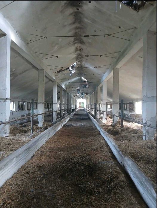 Краварник и прележашта земя