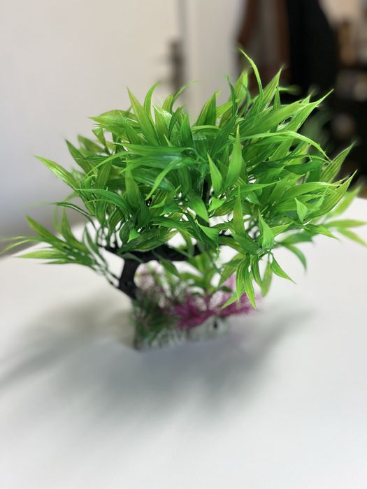 Decor acvariu arbore