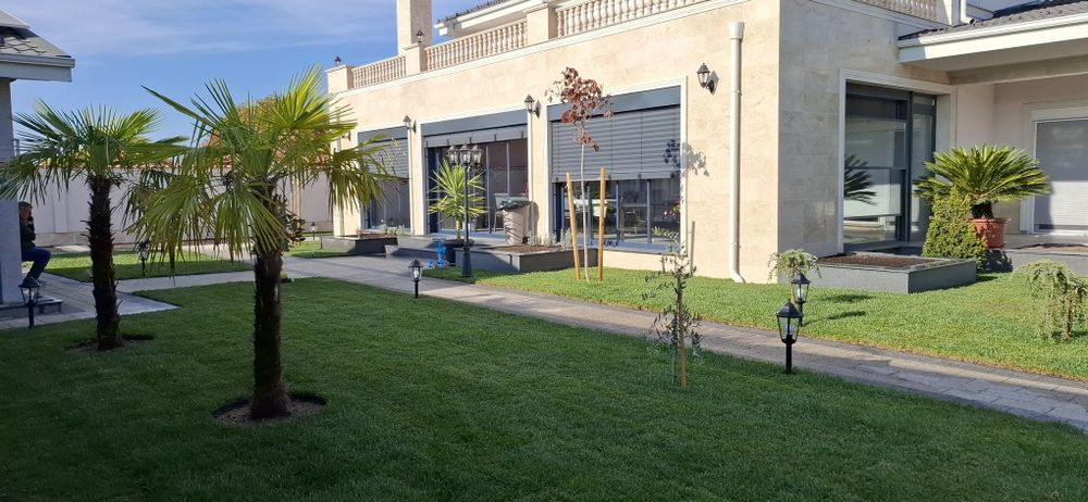 Тревен чим, Озеленяване