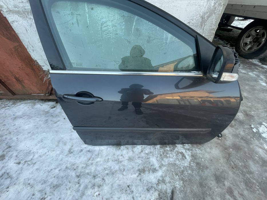 Portiere Laguna 3 2008