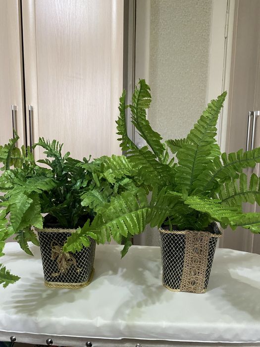 Цветочные. композиции.