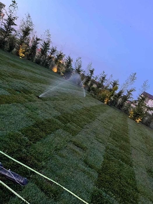 Gazon Rulou  și sistem de irigatii