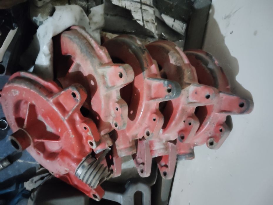 Daichi selka zabchastka