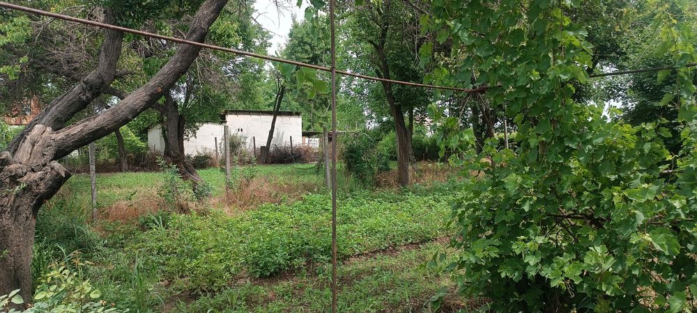 Продаетс участок 24 сотки. Янгиюль. Аккурган