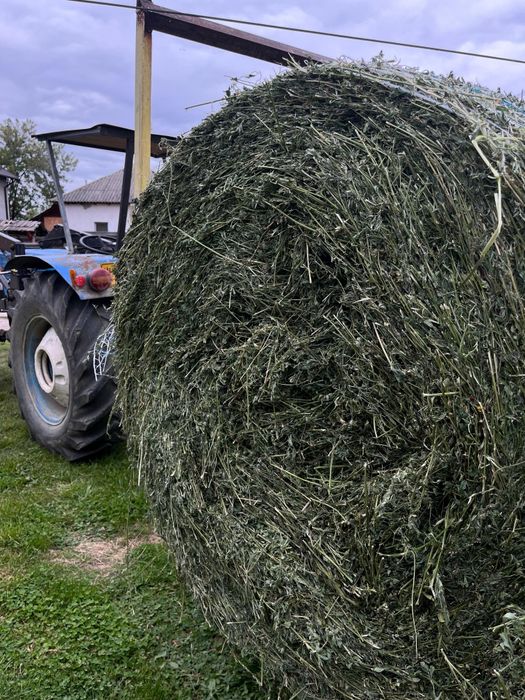 Vindem baloti rotunzi de  lucernă 2025