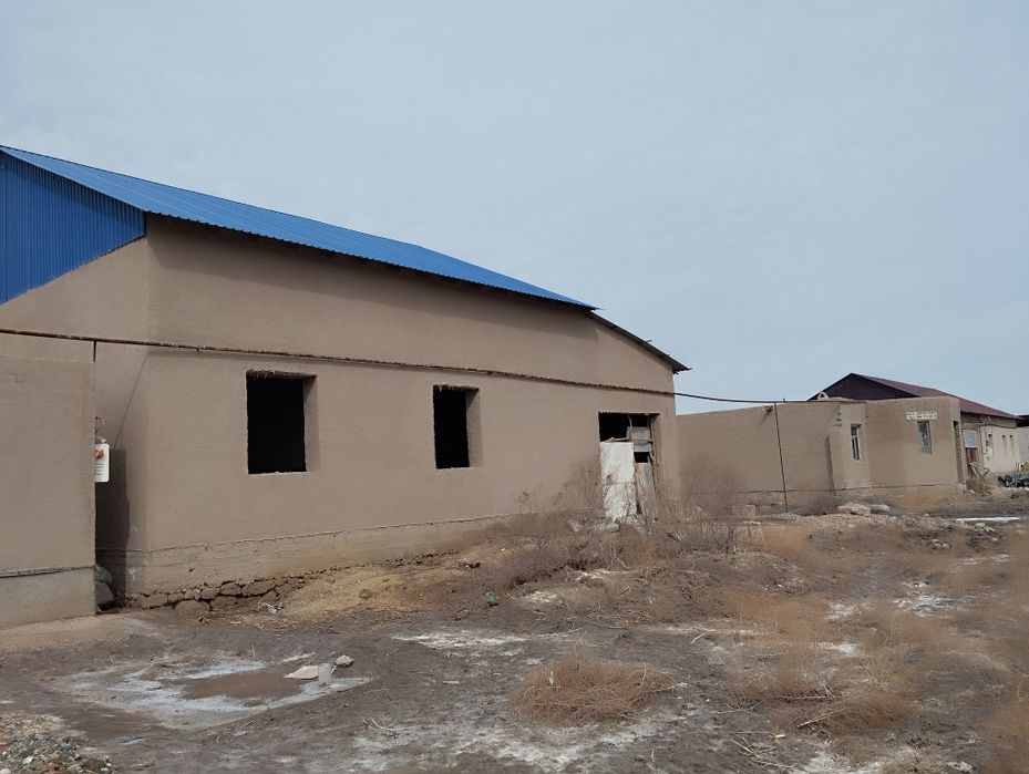 Taqiyatas rayoni kassigin pavarod tarepte Jay satil kelisimliadi